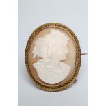 A LATE VICTORIAN 15CT GOLD MOUNTED SHELL CAMEO BROOCH, the oval panel carved in relief with the bust