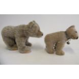Two Steiff standing bears, the 8" example with sewn nose and mouth, felt pads and metal ear