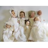 Seven celluloid and composition head dolls including Pedigree, Roddy and BNO, largest 17" long,