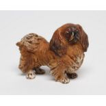 A VIENNA TYPE COLD PAINTED BRONZE PEKINGESE, early 20th century, with brown and white markings,
