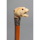 A VICTORIAN MALACCA WALKING CANE, the ivory grip carved as a mastiff's head with glass eyes, white
