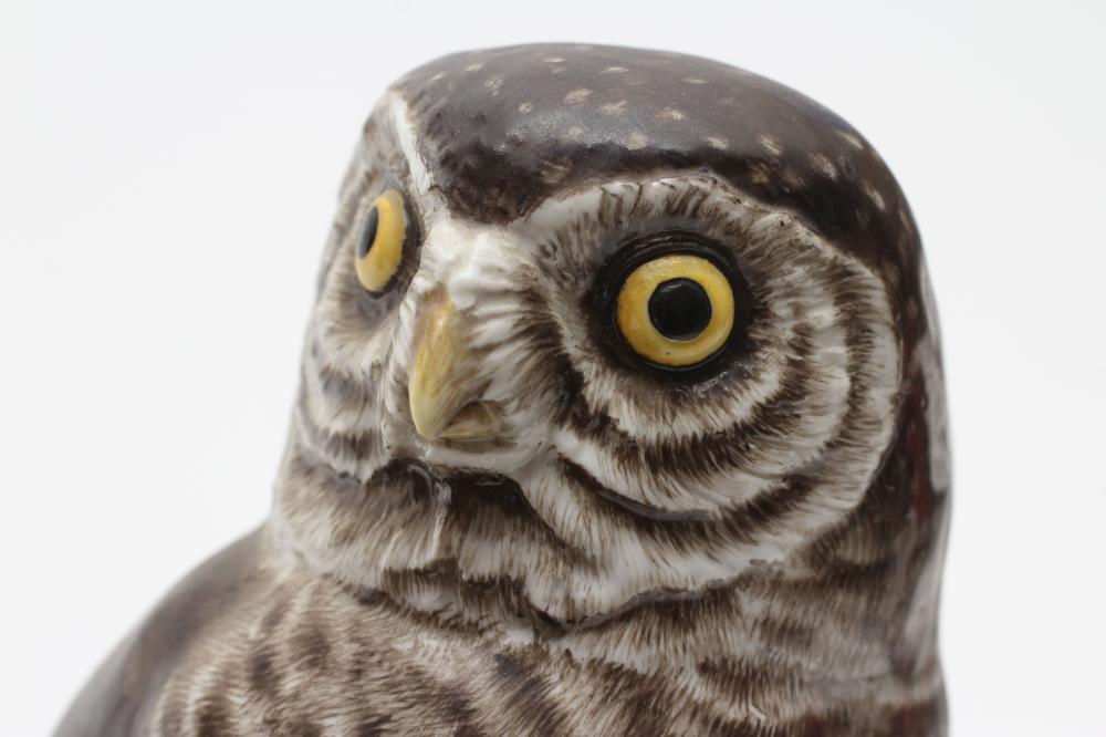 TWO MEISSEN PORCELAIN OWLS, 19th century, both perched upon a naturalistically moulded rocky outcrop - Image 6 of 16