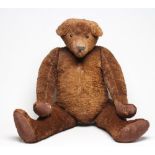 A very large straw filled teddy bear, possibly for a shop display, with swivel joints, sewn nose,