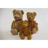 Three vintage teddy bears, all with swivel joints and sewn noses, the two larger examples with amber