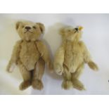 Two Steiff bears, both with sewn noses, felt pads, swivel joints and ear buttons, one with cloth