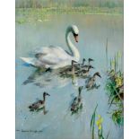 VERNON DE BEAUVOIR WARD (1905-1985), "Early Day Swan and Cygnets", oil on canvas, signed and