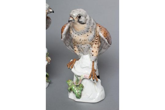 A PAIR OF SAMSON PORCELAIN KESTRELS, late 19th century, one perched upon a leafy branch, the other - Image 2 of 5