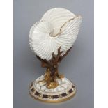 A LATE VICTORIAN ROYAL WORCESTER CHINA NAUTILUS SHELL VASE raised upon bronzed and gilded coral