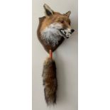 A red fox mask (Vulpes Vulpes) on a mounted shield with a fox brush mounted on a cartridge. 32cms