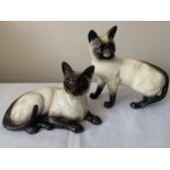 Two Beswick Siamese cats, standing cat 16cms h.Condition ReportGood condition, no issues.