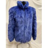 An electric blue farmed mink short hair jacket with zip fastener, German make with small stand up