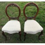 A pair of Victorian mahogany balloon backed dining chairs with cabriole legs. Height to seat 44cm,