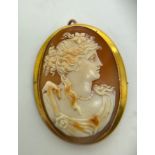 A well carved shell cameo brooch/ pendant mounted in 9ct yellow gold. 5cms x 4cms.Condition