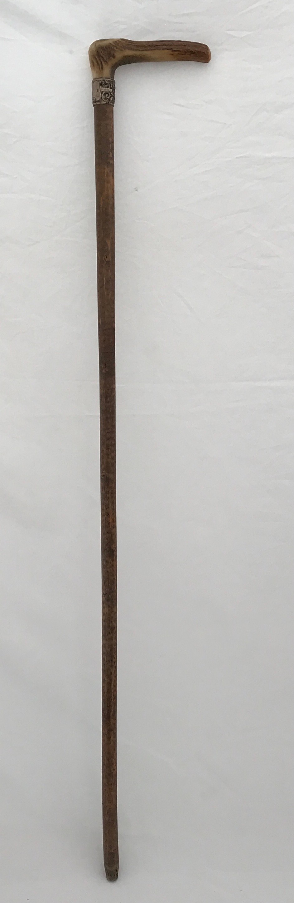 A horn handled walking stick with a silver collar. 84cms l.Condition ReportGood condition. - Image 3 of 3