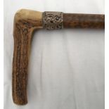 A horn handled walking stick with a silver collar. 84cms l.Condition ReportGood condition.