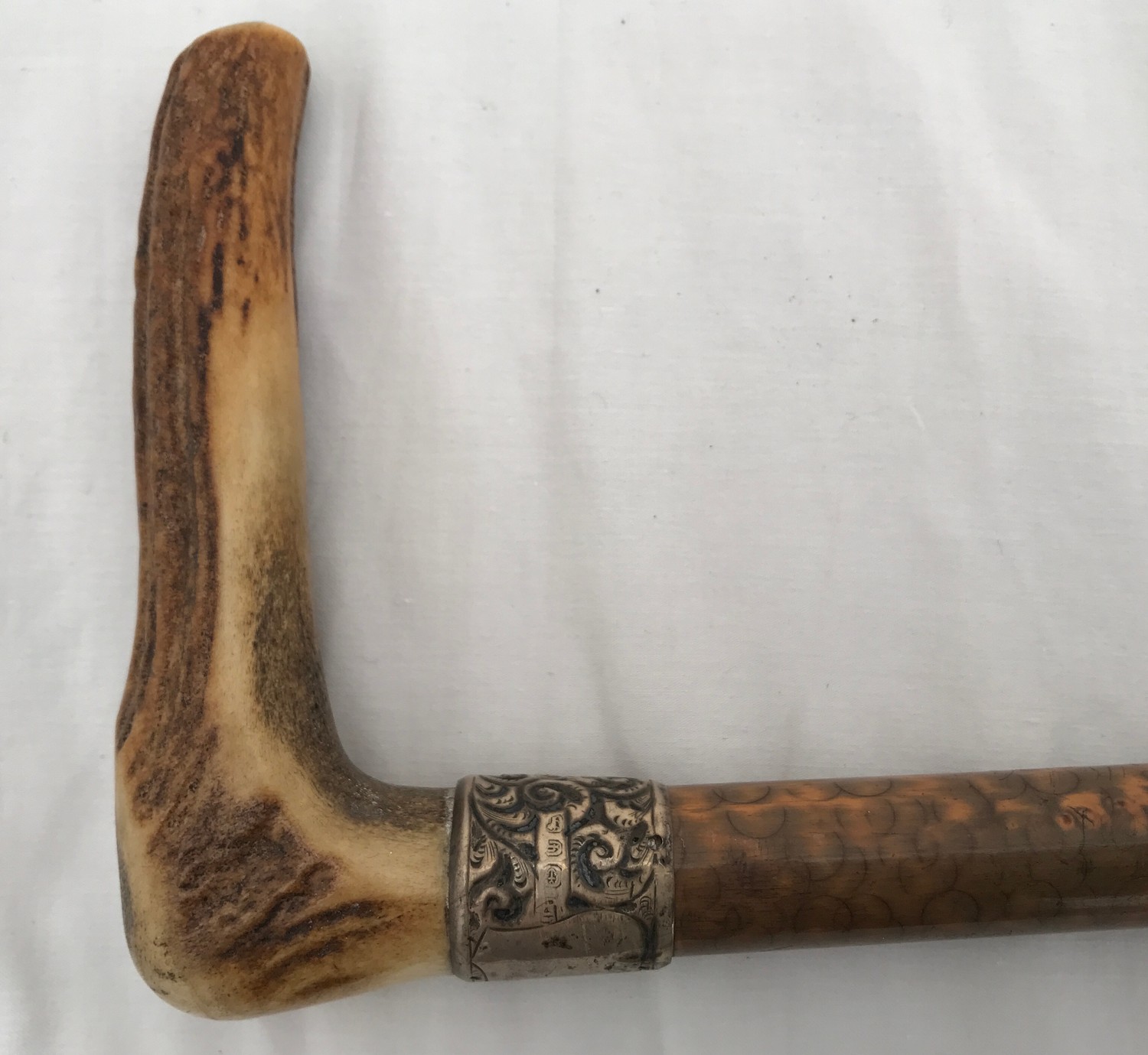 A horn handled walking stick with a silver collar. 84cms l.Condition ReportGood condition. - Image 2 of 3