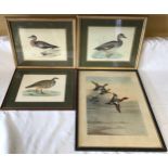 Four wild bird prints to include a pair in gilt frames of "American Wigeon" and "Gadwall", print