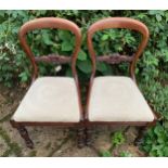 A pair of Victorian balloon backed dining chairs.Condition ReportGood condition.
