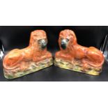 A pair of large Staffordshire pottery lions with glass eyes. 25cms h x 33cms w x14.5cms d.