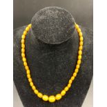 Butterscotch amber beads, 52cms l, 23gms.Condition ReportGood condition.