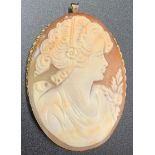 A carved shell cameo brooch/pendant set in 9ct yellow gold. 5.5 x 4cms. Total weight 15.2gms.
