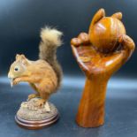 A taxidermy red squirrel 23cms h x 13cms base and a carved wooden bowling hand with ball approx