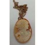 A carved shell cameo pendant on a 9ct gold chain, 43cms l. Weight 12.4gms. Cameo 4 x 3cms.