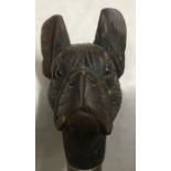 A walking cane with carved French bull dog head handle with glass eyes and white metal collar, 86cms
