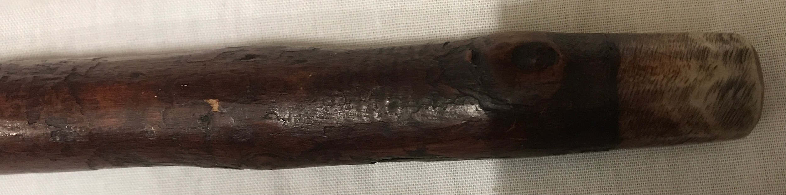 A walking stick with carved wood hounds head handle with glass eyes and silver collar, Birmingham - Image 4 of 6