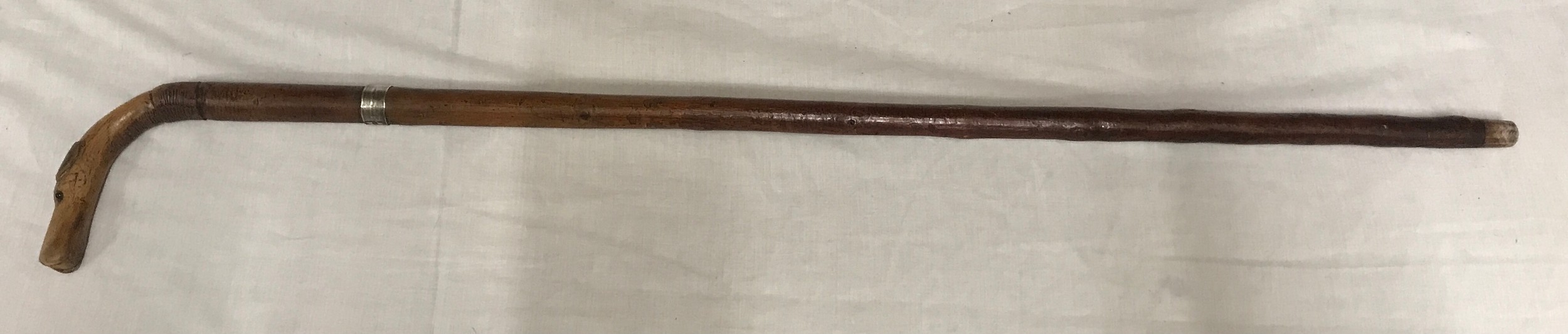 A walking stick with carved wood hounds head handle with glass eyes and silver collar, Birmingham - Image 2 of 6