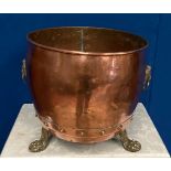 A LARGE COPPER COAL / LOG BUCKET, with brass lion head handles and paw feet, 40cm tall x 41cm