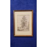 ATTRIBUTED TO JOHN LAPORTE, (IRISH 1761 - 1839) "POPLAR", pencil sketch, inscribed verso with