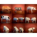 A COLLECTION OF 11 PORCELAIN PIGS TO INCLUDE A PAIR OF ROYAL DOLTON BROWN AND BLACK PORCELAIN