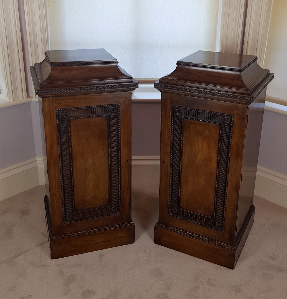 A PAIR OF VERY FINE LATE 19TH CENTURY MAHOGANY CUTLERY PEDESTALS,