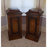 A PAIR OF VERY FINE LATE 19TH CENTURY MAHOGANY CUTLERY PEDESTALS,