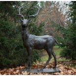 A CAST IRON GARDEN ORNAMENT IN THE FORM OF A STAG 5ft tall approx
