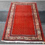 A FINE GENUINE PERSIAN SENNEH HAND MADE RUG, with a knot density of between 250 – 300, 000 knots per