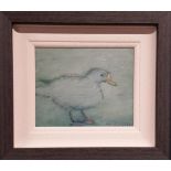 CON CAMPBELL, (IRISH 20/21ST CENTURY), DUCK, oil on board, signed lower right, 40cm x 35cm approx fr