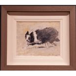 CON CAMPBELL, (IRISH 20/21ST CENTURY), SHEEP DOG, oil on board, signed lower right, 40cm x 35cm appr