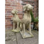 A PAIR OF STONE GARDEN ORNAMENTS in the form of sitting pointer dogs, size: 29 inches tall approx.