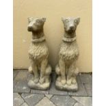 A PAIR OF GARDEN ORNAMENTS IN THE FORM OF SEATED HOUNDS, with collars, 72cm tall approx.