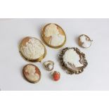 Five gold mounted shell cameo brooches (a/f); a coral ring and a rose diamond set cameo ring