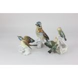 Three Karl Ens porcelain models of birds, to include a Jay, 17.5cm high, and two birds beside a