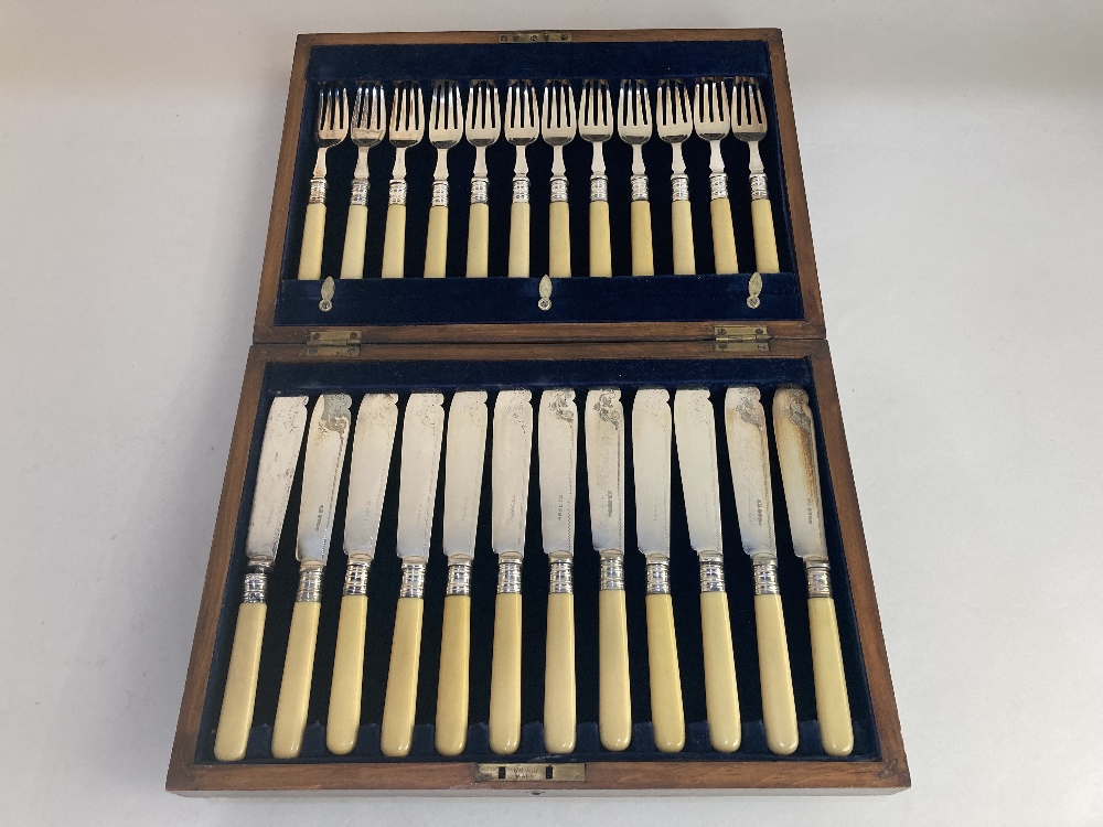 An oak cased set of twelve silver plated and white handled fish knives and forks