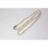 A single row pearl necklace with a 9ct gold clasp, pearl and cabochon set