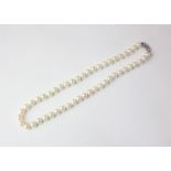 A single row cultured pearl necklace on a pierced oval 14ct white gold clasp