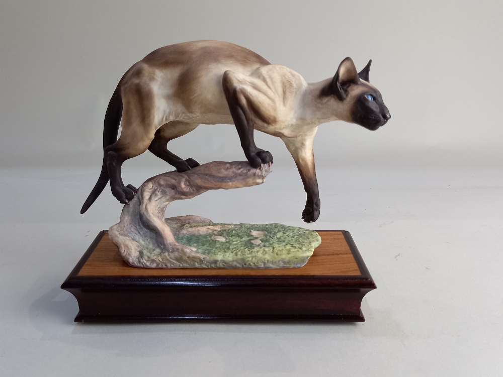 An Albany Fine China limited edition model of a Siamese cat modelled by Neil Campbell, on wooden
