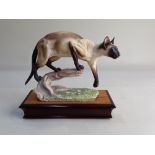 An Albany Fine China limited edition model of a Siamese cat modelled by Neil Campbell, on wooden