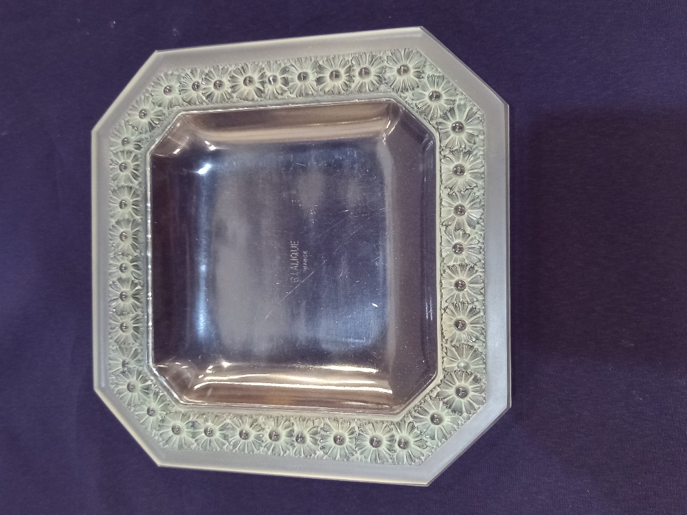 A Rene Lalique 'Paquerettes' square canted glass dish moulded with flowers highlighted in green,