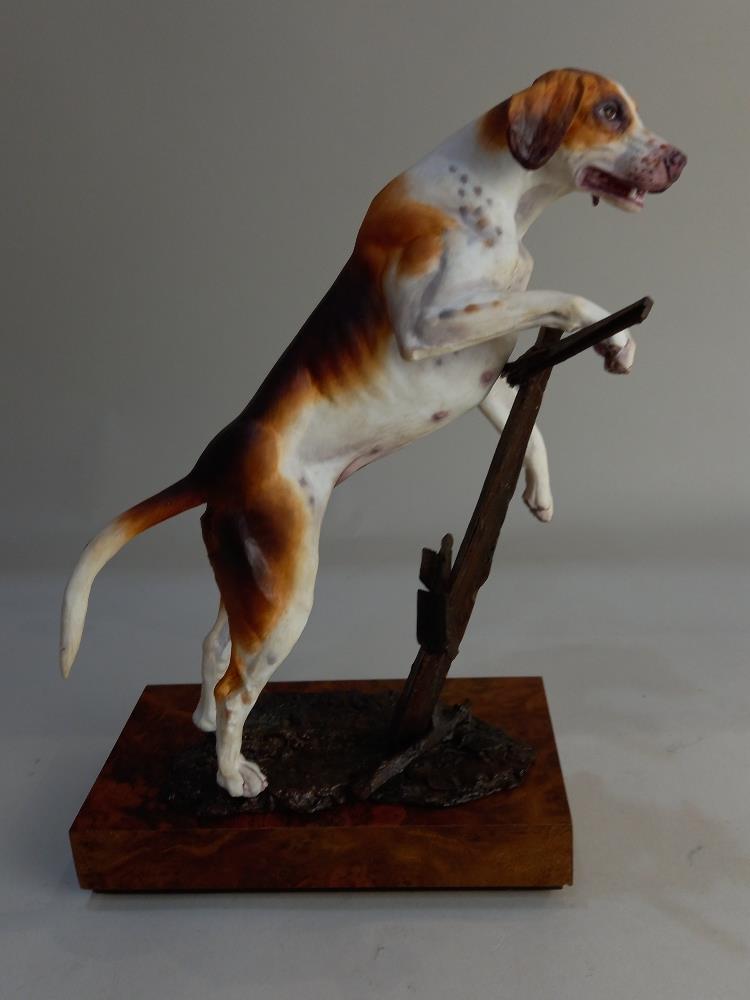 An Albany Fine China porcelain and metal model of a Foxhound, modelled by Neil Campbell, on wooden
